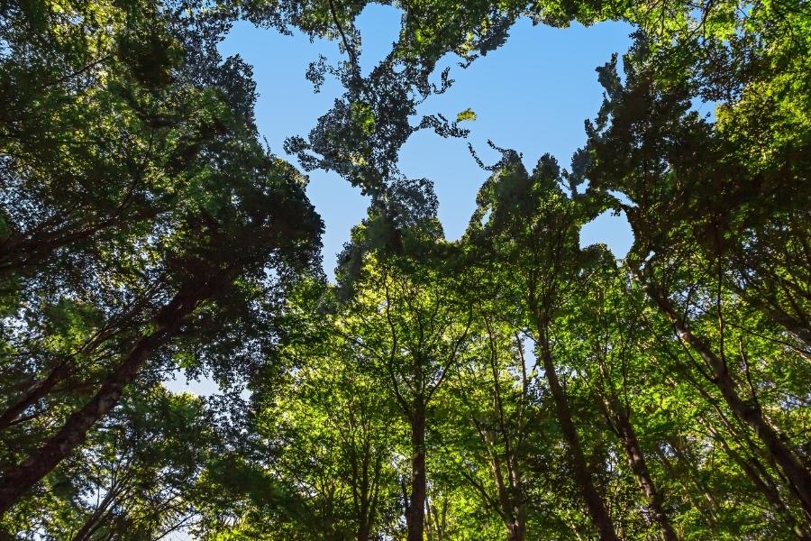 Ochrona środowiska w przemyśle