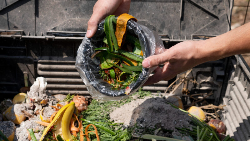 Kompostownik przydomowy – jak efektywnie przetwarzać odpady organiczne i tworzyć własne, naturalne nawozy